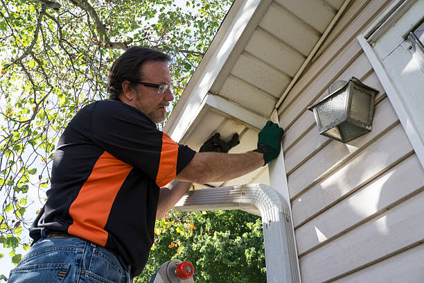 Affordable siding repair and maintenance services in Waconia, MN